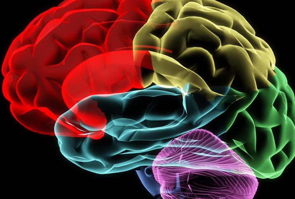 Smart Business Solutions: Supplementing Your Brain for Success