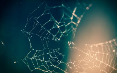 Zero Trust Architecture: More Secure Users For The Mission Critical